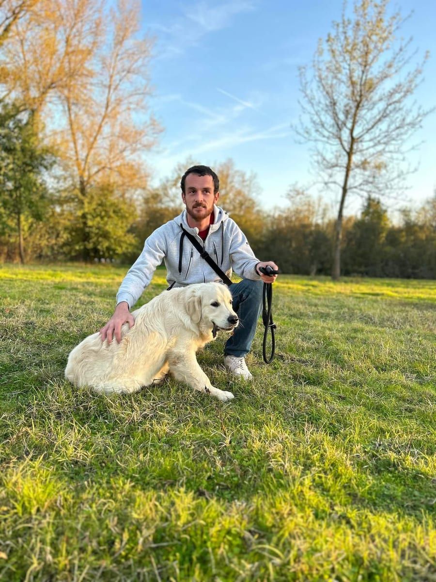 Profil de Ziade